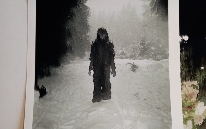 crédit = Olivier Cornil