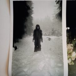 crédit = Olivier Cornil