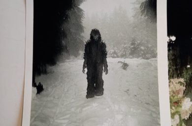 crédit = Olivier Cornil