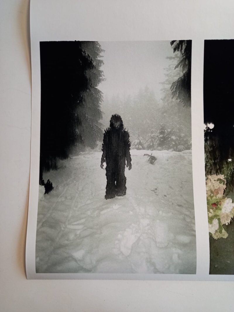 crédit = Olivier Cornil